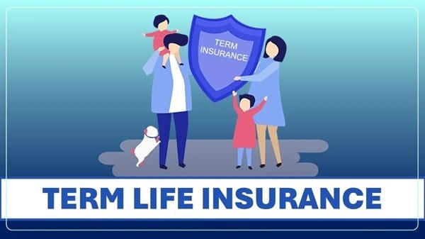 Guide to Understanding Term Life Insurance Coverage Options